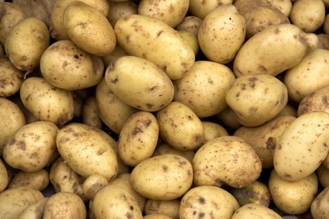 Potatoes @wholepotato cover picture