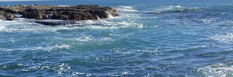 Moody blues @wildkat888 cover picture