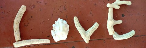 Deluxion @winterwoods cover picture