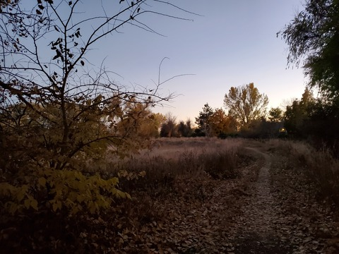 WitchBitch @witchbitch2 cover picture