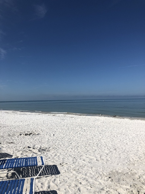 wolflow @wolflow cover picture