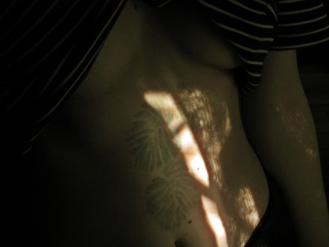 wololooo @wololooo cover picture