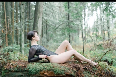 Wyllie12 @wyllie12 cover picture