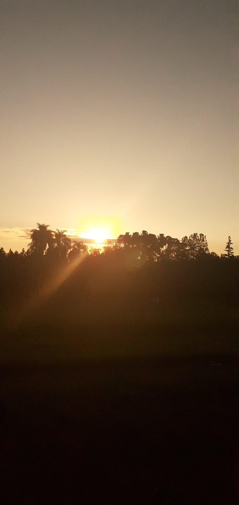 Agustín Paniagua @xagus cover picture