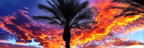 xantixx @xantixx cover picture