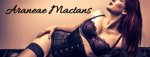 Araneae @xaraneaex cover picture