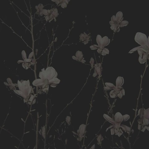 ⸸ @xcasper1 cover picture