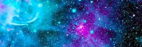 Chubby @xchubby cover picture