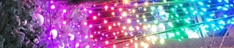 Danni @xdannix cover picture