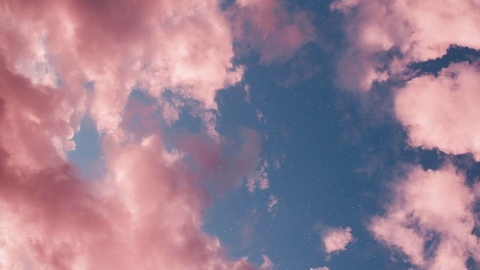 XO @xo_bbygirl cover picture
