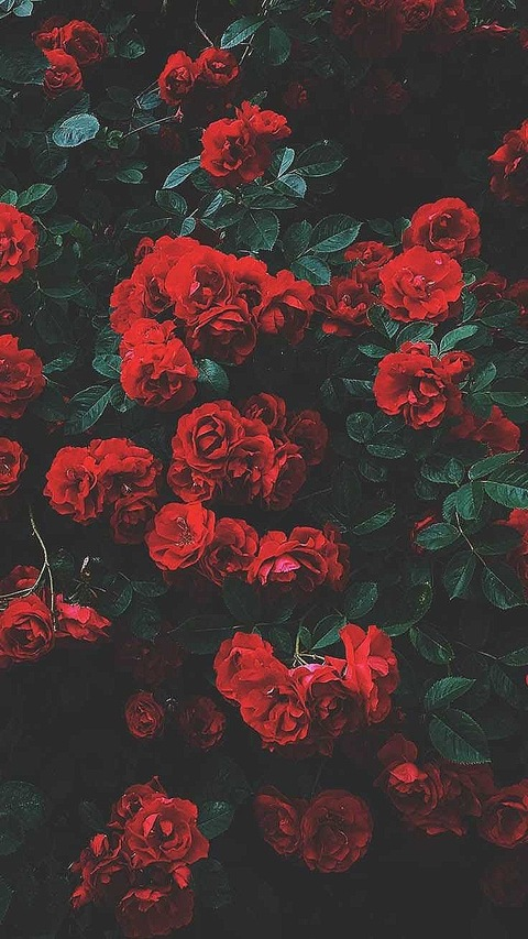 𝖌𝖔𝖉𝖉𝖊𝖘𝖘 𝖇𝖗𝖎 @xobrlbz cover picture