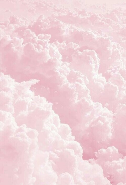 xo.missrae @xomissrae cover picture