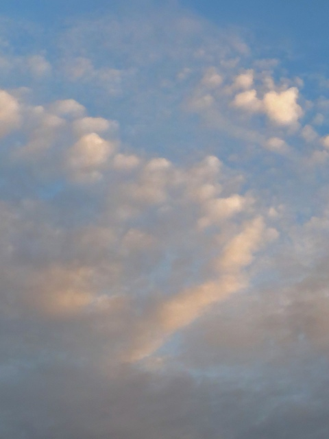 emma @xowiemma cover picture