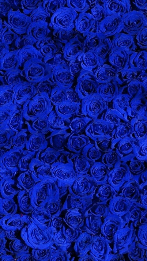 xXxDiamondxXx @xoxodiamondsxoxo cover picture