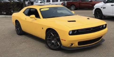 Hayes @xoxohayes cover picture