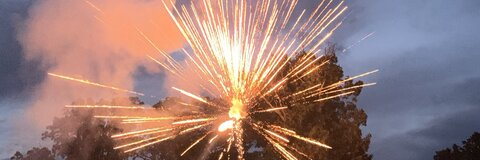 Sarah🌞 @xsarahkatelyn cover picture