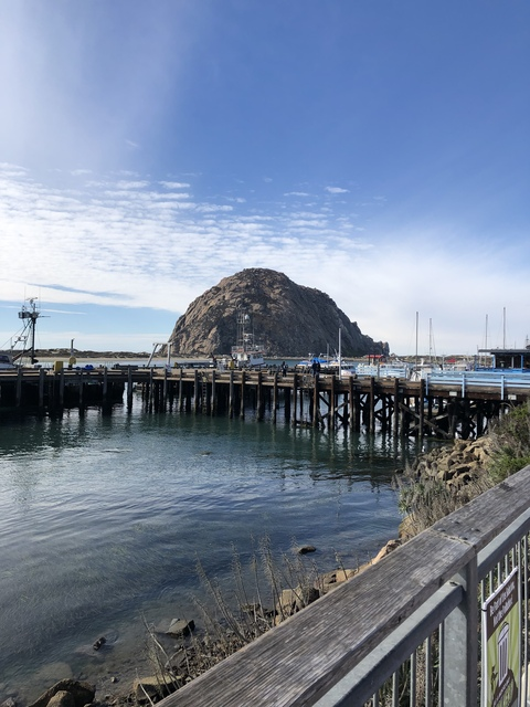 Rianne @xshybaby cover picture