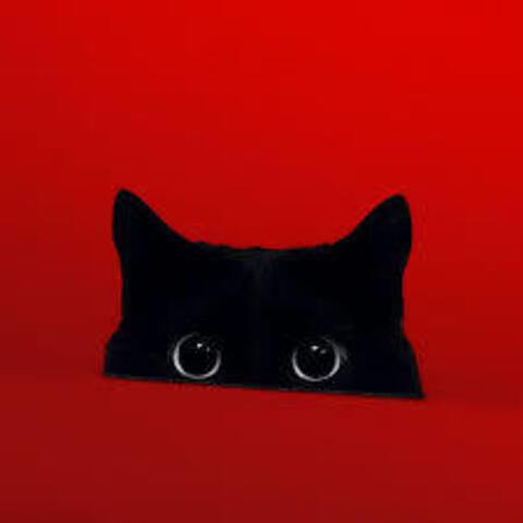 Toxicat @xxxtoxicxxx cover picture