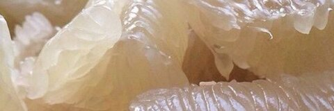 alìnch @yalissa cover picture