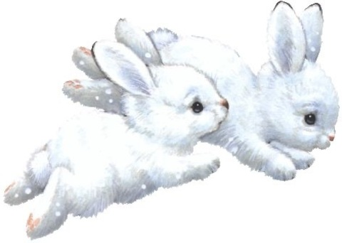 Privat @yarinkass cover picture