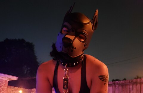 Yeen Pup Bean @yeenpupbean cover picture