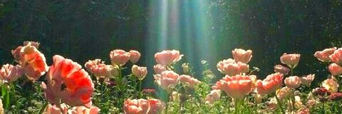 YEVANYBERRY @yevanyberry cover picture