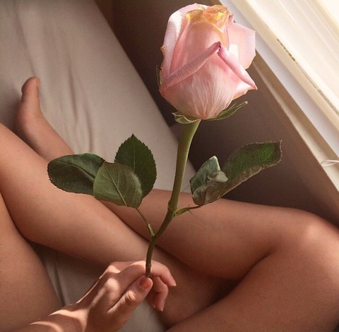 𝑪𝒚𝒏𝒕𝒉𝒊𝒂 𝒀𝒆𝒂𝒏𝒆𝒕𝒕 @yevnett cover picture