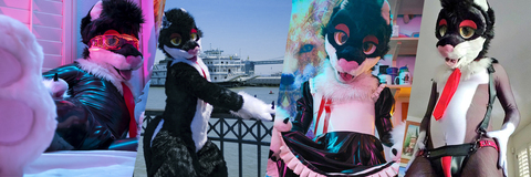 Jamie Sharp @yiffykitty cover picture