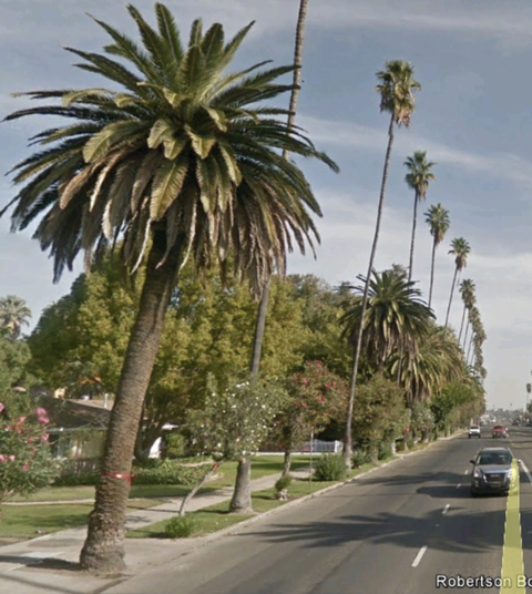 Renee ♥️ @yogi_renee cover picture