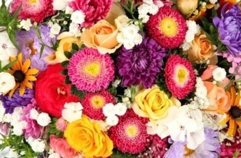 Rumer @youreuphoriax cover picture