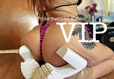 💗 Kateri 💗 @yourfavoritekittenxo cover picture