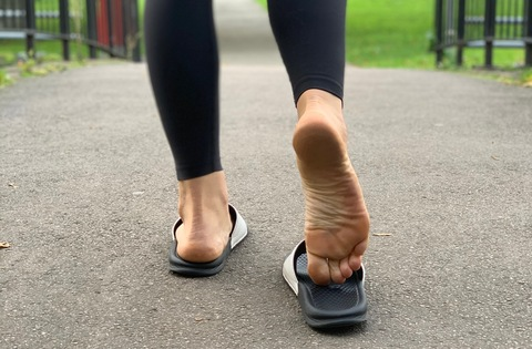 Susanna Hayez @yournewsolemate cover picture