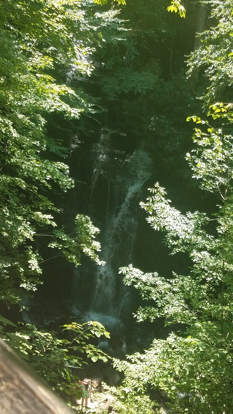 YummiBella @yummibella cover picture