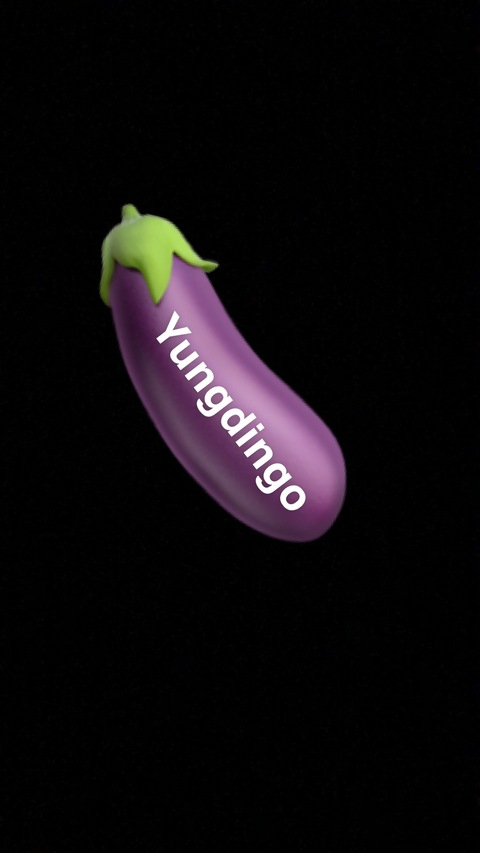 Yungdingo @yungdingo cover picture