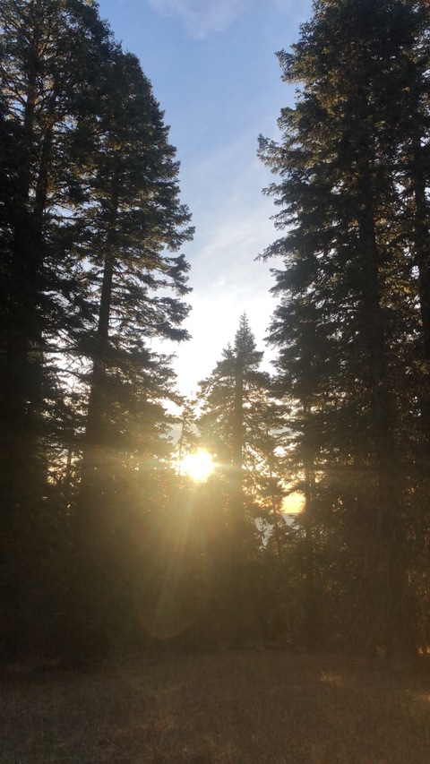 Adonis @yungkingdc69 cover picture