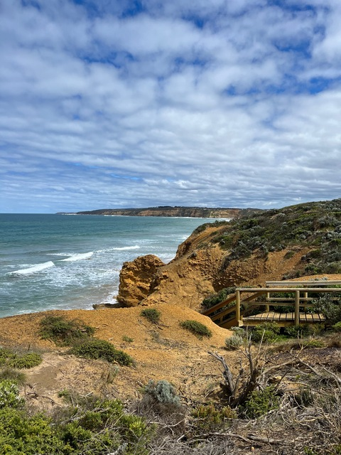 Bel @zarabellxo cover picture