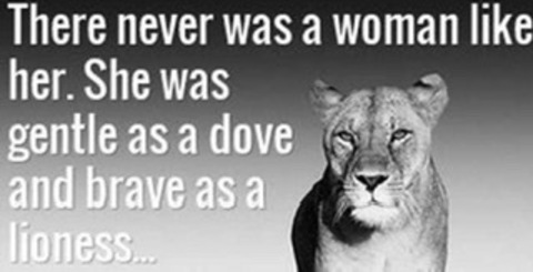 Lioness Alana @zendenalana cover picture