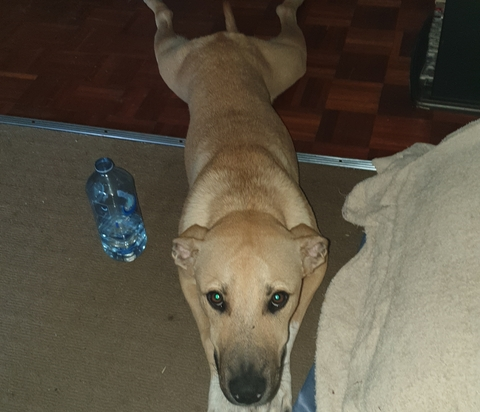 Zildjian1 @zildjian1 cover picture